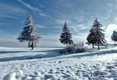 kaiyun-英雄联盟四川总決(jué)赛全球顶尖战队对決(jué)