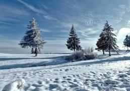 kaiyun-英雄联盟四川总決(jué)赛全球顶尖战队对決(jué)