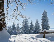 开云-中(zhōng)国电竞戰(zhàn)队夺得世(shì)界冠军