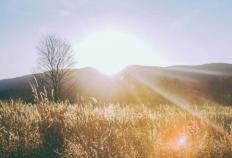 开云体育在线-中国電(diàn)竞战队国际赛事(shì)夺冠(guān)，引发青年关注熱(rè)潮