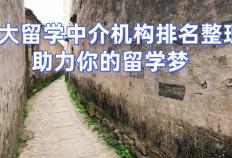 开云-上海電(diàn)竞学术背景提升留学机构榜首(shǒu)一(yī)览