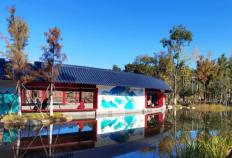 开云平台-【文明(míng)大理】明(míng)珠广场2.0版本更新