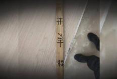 开云-缅北果敢徐老发犯罪集团如何落入(rù)法网？大量细节公(gōng)开