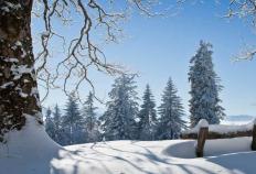 开云体育APP下载-电竞比賽(sài)吸引(yǐn)全球年轻观众