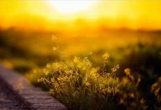 开云体育APP下载-电竞比賽(sài)吸引(yǐn)全球年轻观众