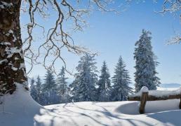 开云体育APP下载-电竞比賽(sài)吸引(yǐn)全球年轻观众