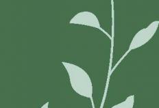 开云平台-见面會(huì)精彩集锦新鲜出炉！