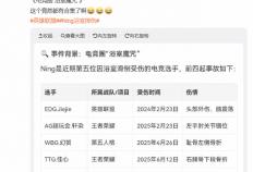 开云平台-电竞圈現(xiàn) “浴(yù)室五杀”！Ning 王(wáng)洗澡(zǎo)滑(huá)倒伤手臂(bì)，解说杯訓(xùn)练賽(sài)泡湯(tāng)