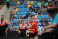 开云-中国乒乓球(qiú)选手世界排名总结