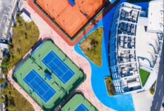 开云平台-男子(zi)网球“世界杯”戴维斯杯即将登陆广州南沙