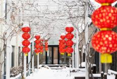 开云体育在线-亮點(diǎn)「一月· 岁始(shǐ)」精(jīng)彩活动集锦来啦~