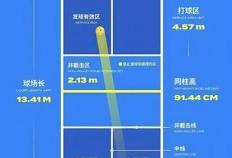 开云-告别羽毛球自由，中产迷上匹克球