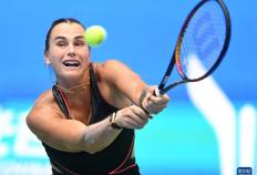 开云平台-武网：萨巴伦卡晋级