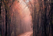 开云体育APP下载-赛事引流、場(chǎng)景创新 中信银行电竞营銷(xiāo)开辟“金融(róng)＋电竞”融(róng)合新路径