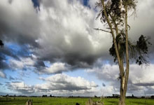 开云平台-羽毛球团体赛流行“客串(chuàn)”