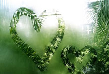 开云下载-2026年(nián)DOTA2国际邀(yāo)请赛将重返上海