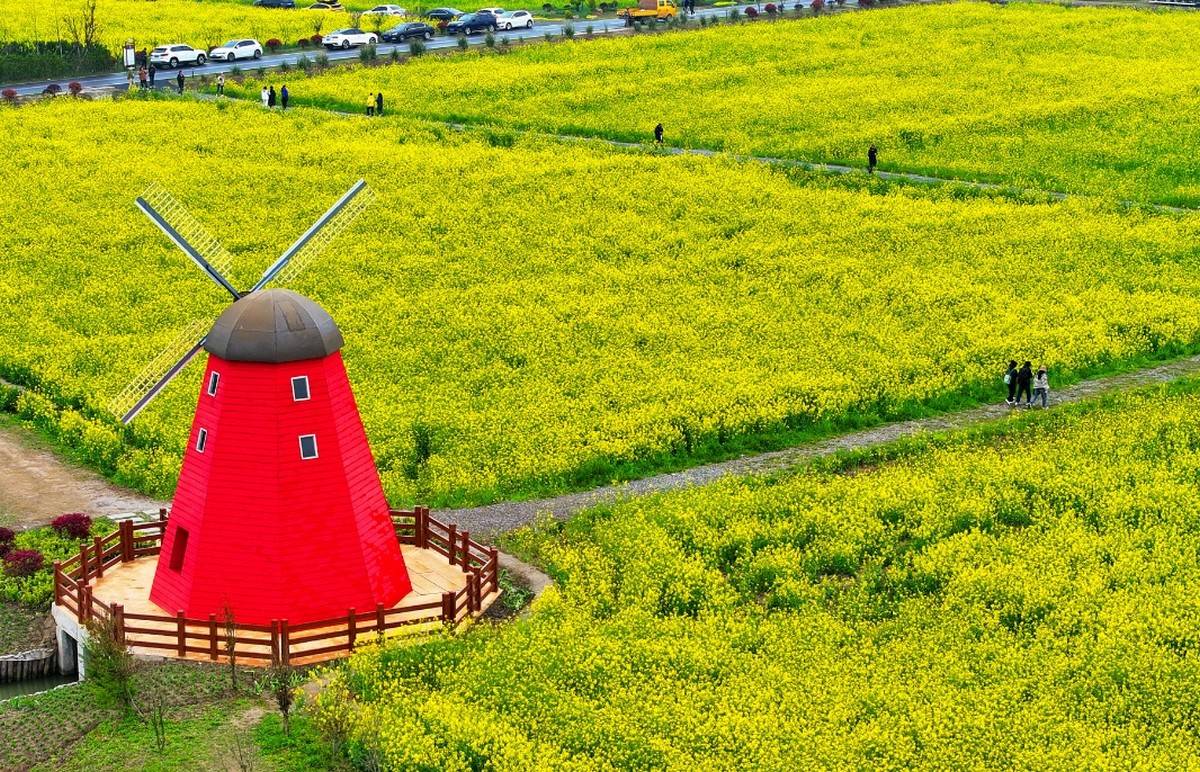 开云体育APP下载-電(diàn)竞比赛吸引衆(zhòng)多观衆(zhòng)，電(diàn)竞産(chǎn)业蓬勃发展