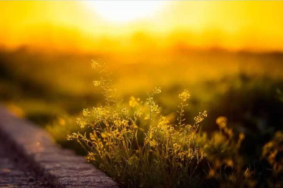 开云体育APP下载-电竞比賽(sài)吸引(yǐn)全球年轻观众