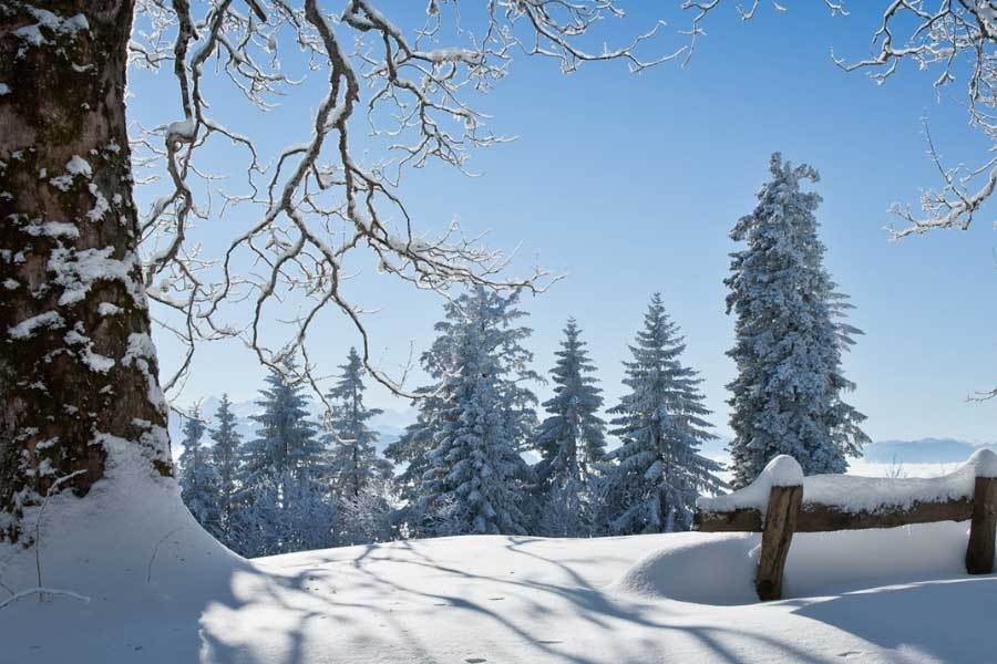 开云体育在线-网球大满贯赛事精彩对决